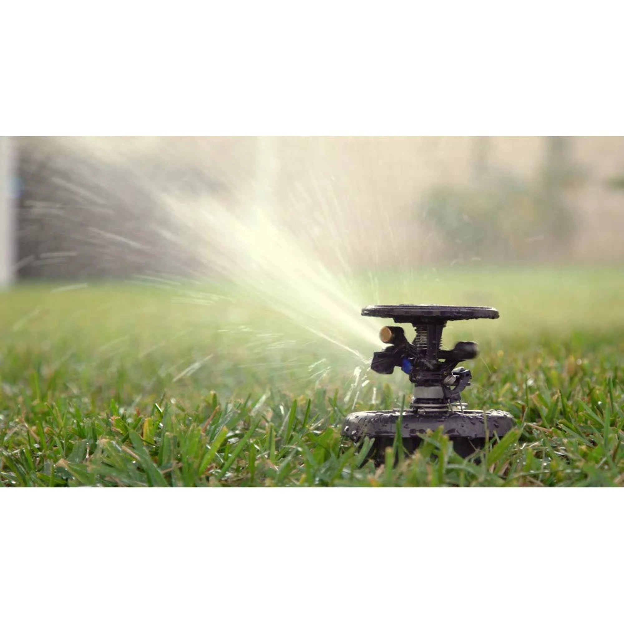 Rain Bird Maxi-Paw Pop-Up Impact Rotor Sprinkler
